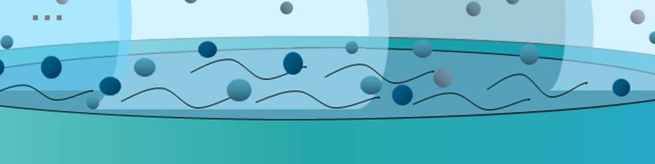 Magnus Brückner (Siemens)