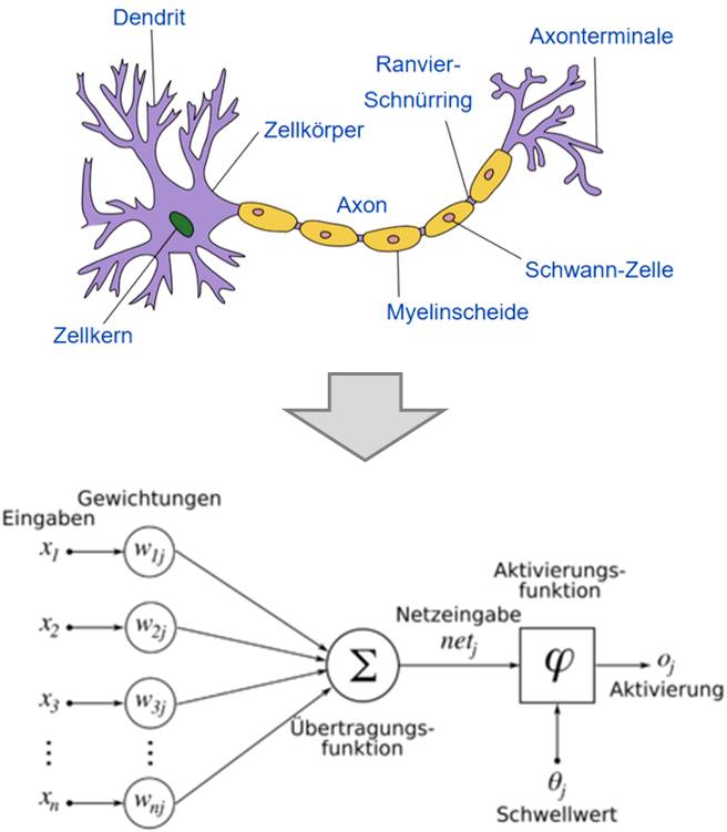 Blog 17 1 KI u IdM Neuronale Netze 2020 08 27