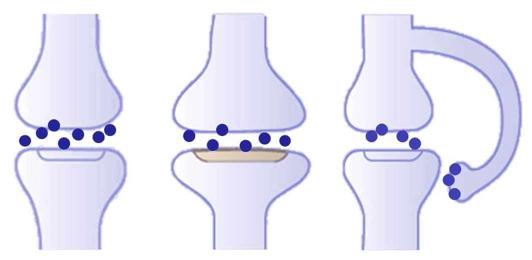 Blog 31 5 Lernen 2021 03 15