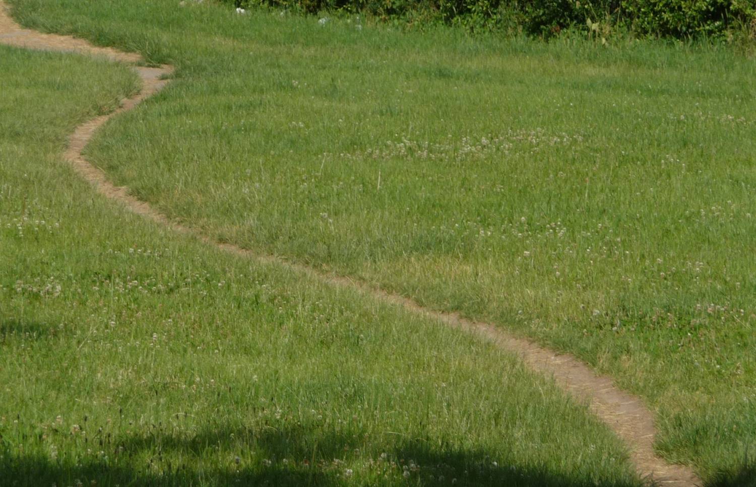 Blog 31 6 Bahnung 2021 03 15