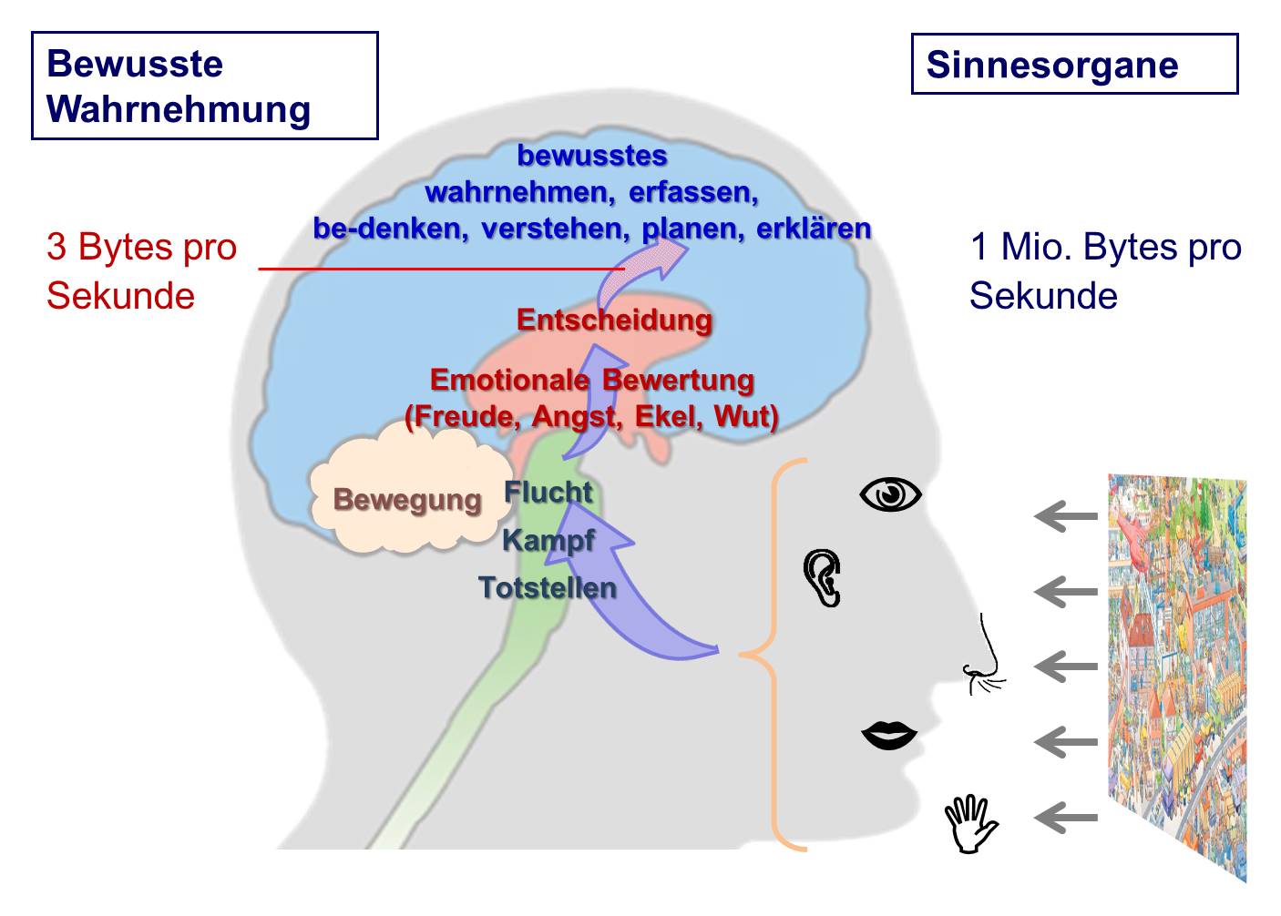 Blog 34 3 Gehirn Bytes 2021 04 28